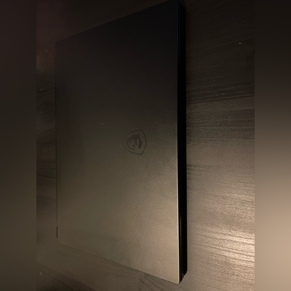 MSI GS66 Stealth Laptop